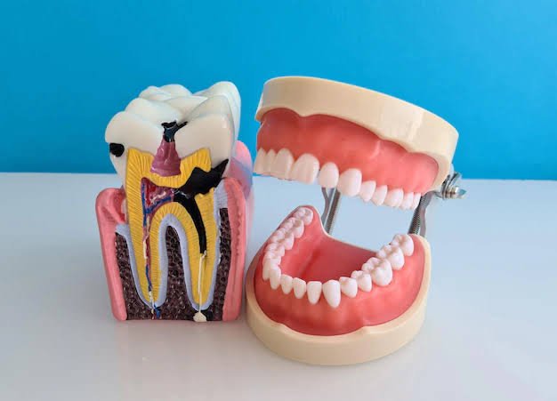 Prosthodontic Treatment and Rehabilitation